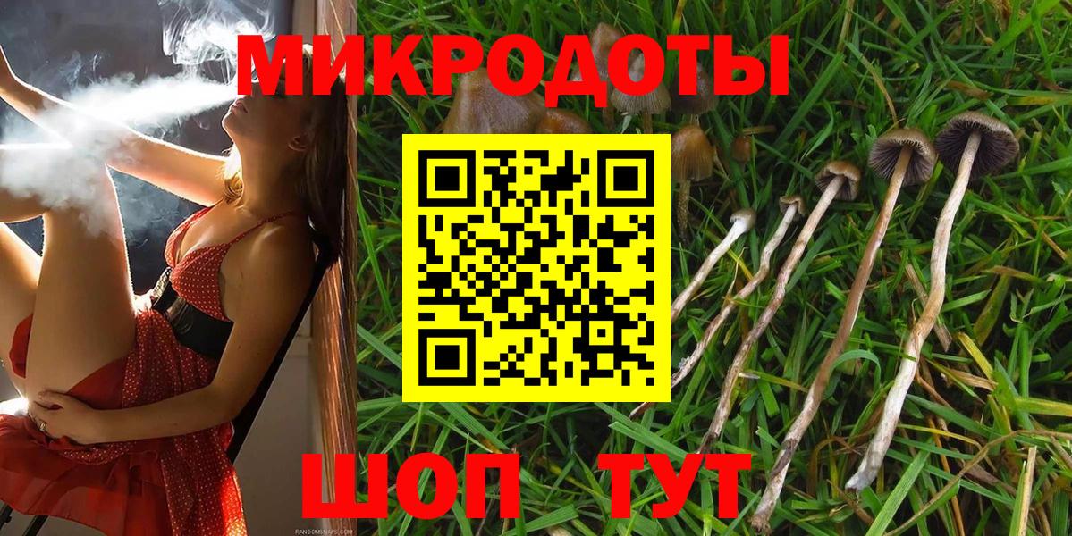 Галлюциногенные грибы MAGIC MUSHROOMS Бердск